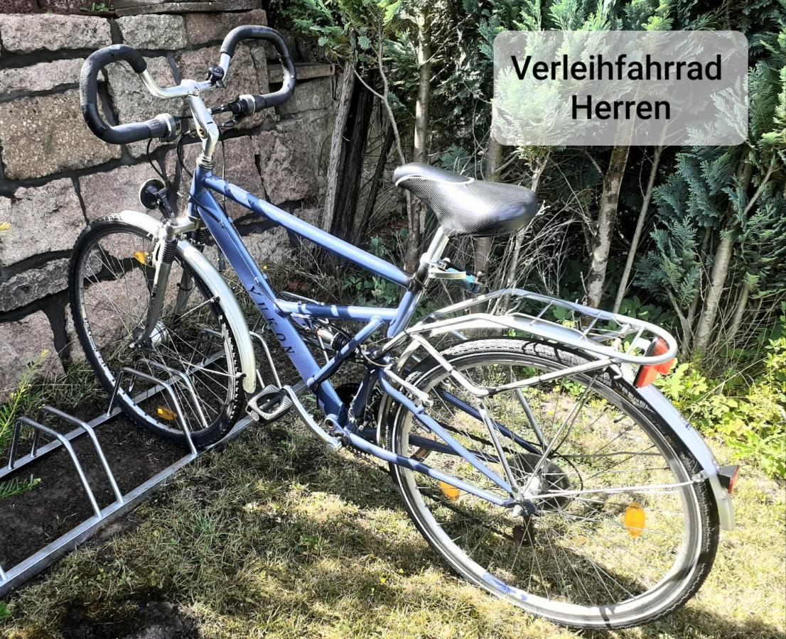 Talblick 2 - Ihr Zuhause : Das Ferienhaus Mitten Im Idyllischen Tal Bad Bibra Exterior photo